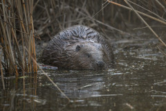 AikoSukdolak__DSC0295-Bearbeitet
