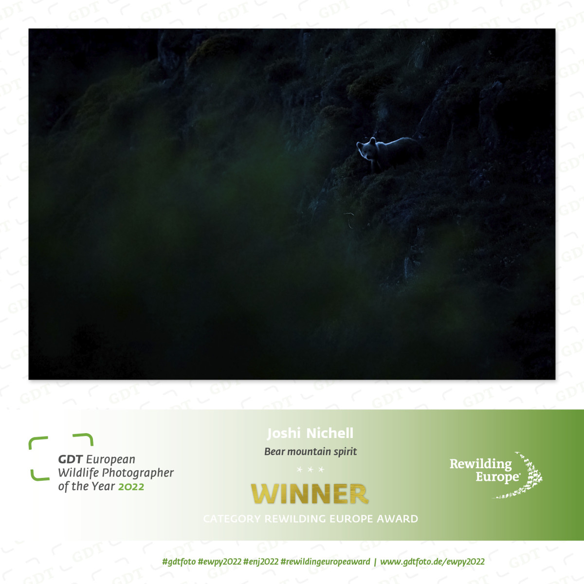 Rewilding-Europe-Gewinner-gdt_ewpy2022_88_Joshi-Nichell_1920 Rewilding-Europe-Gewinner-gdt_ewpy2022_88_Joshi-Nichell_1920