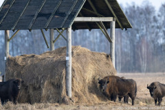 AikoSukdolak_DSC_5844
