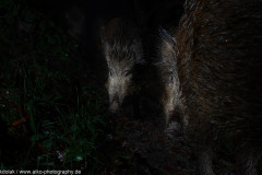 AikoSukdolak_DSC_8363-5