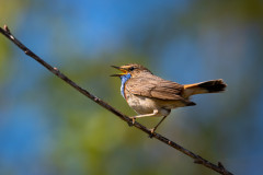 AikoSukdolak_DSC_6735