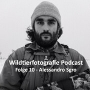 Wildtierfotografie Podcast Alessandro Sgro