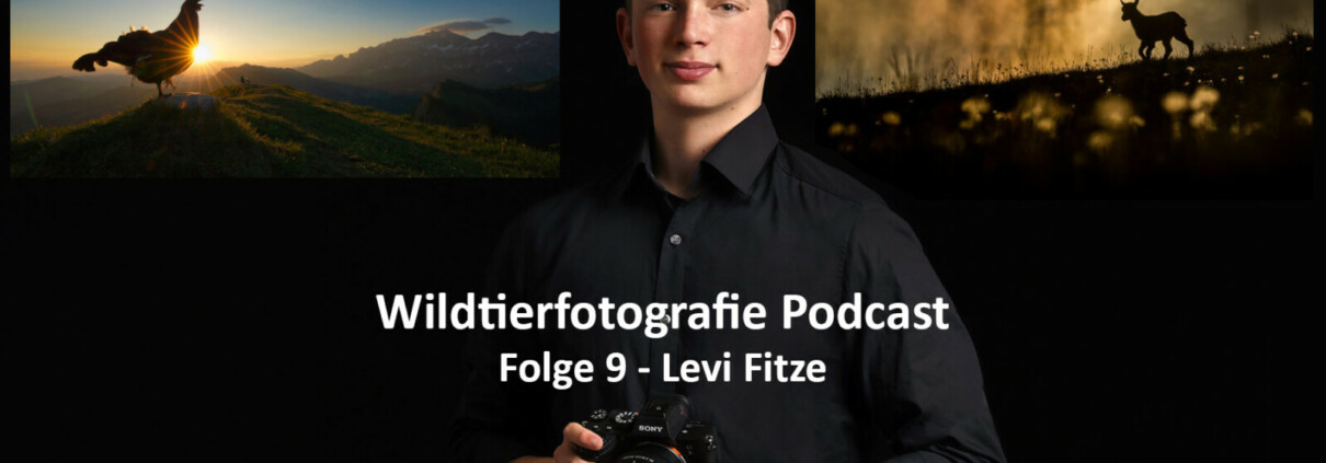 Wildtierfotografie Podcast Levi Fitze