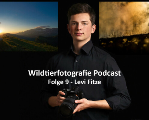 Wildtierfotografie Podcast Levi Fitze