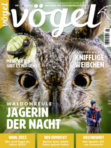 Cover Foto des Vögel Magazin