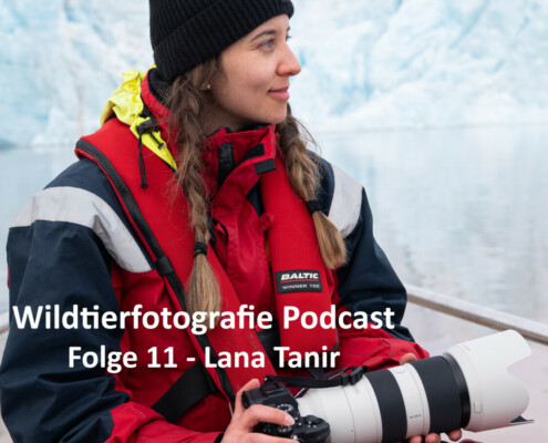 Wildtierfotografie Podcast Lana Tannir
